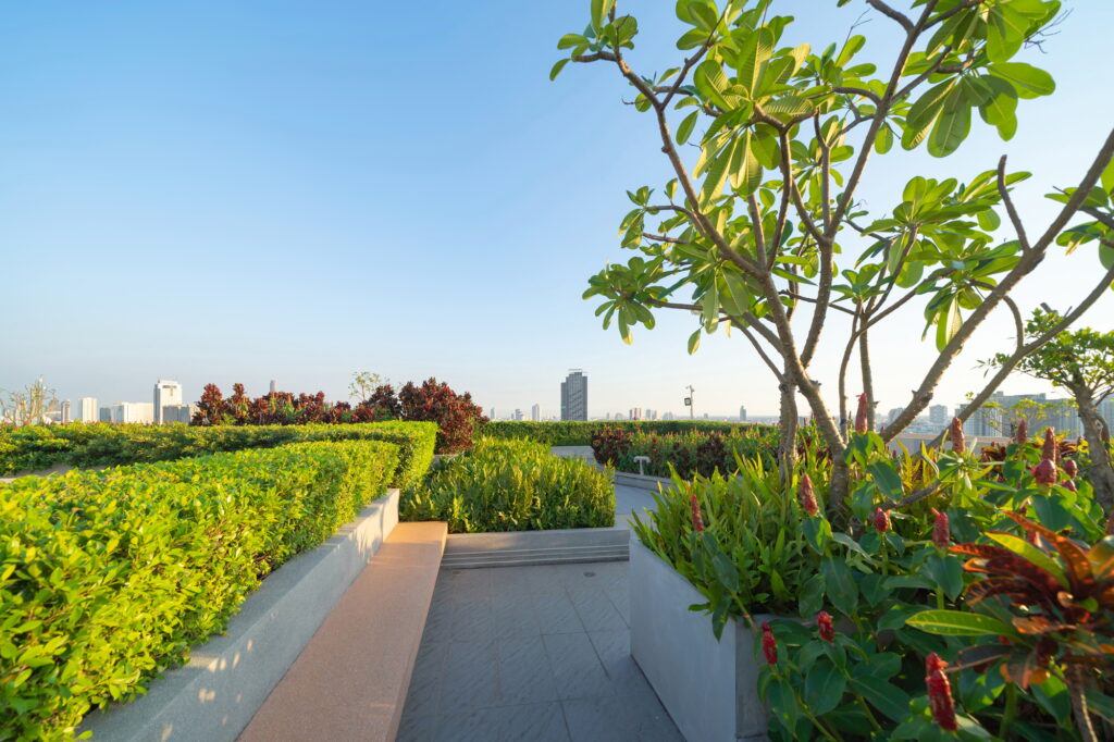 Sky garden on private rooftop of condominium or hotel, high rise architecture building, grass field